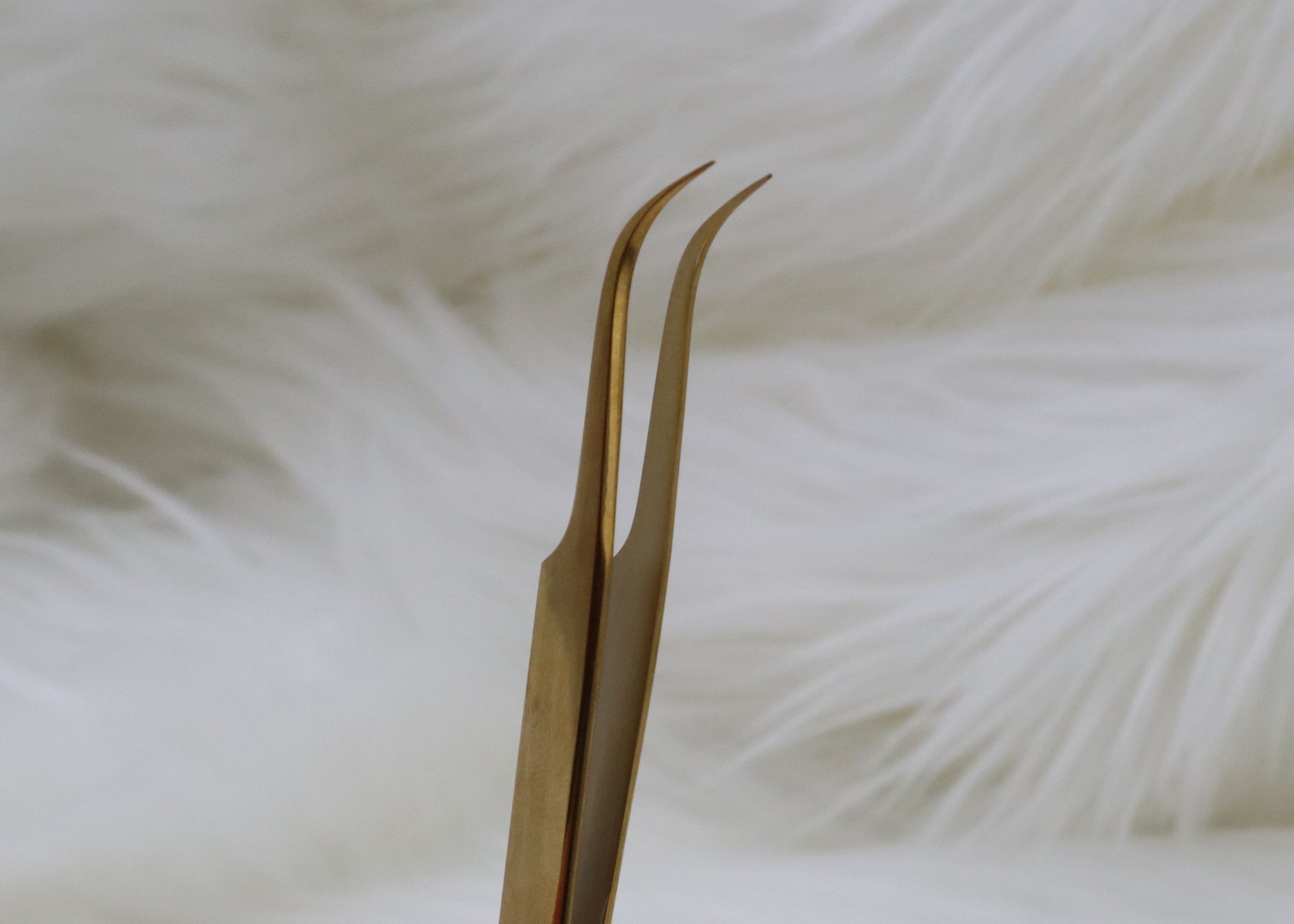 Lashed by H | "24K" Signature Tweezer