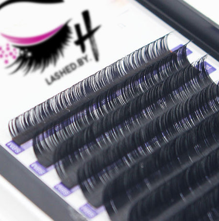 Lashed by H | Mega Lashes - Single Length